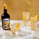 Botivo Botanical Aperitivo – Alcoholvrije Aperitivo