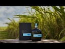 MOUNT GAY EDIT.NR.2 55– 70CL